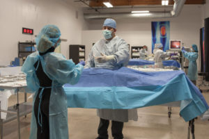 Cadaver Lab Surgical Training