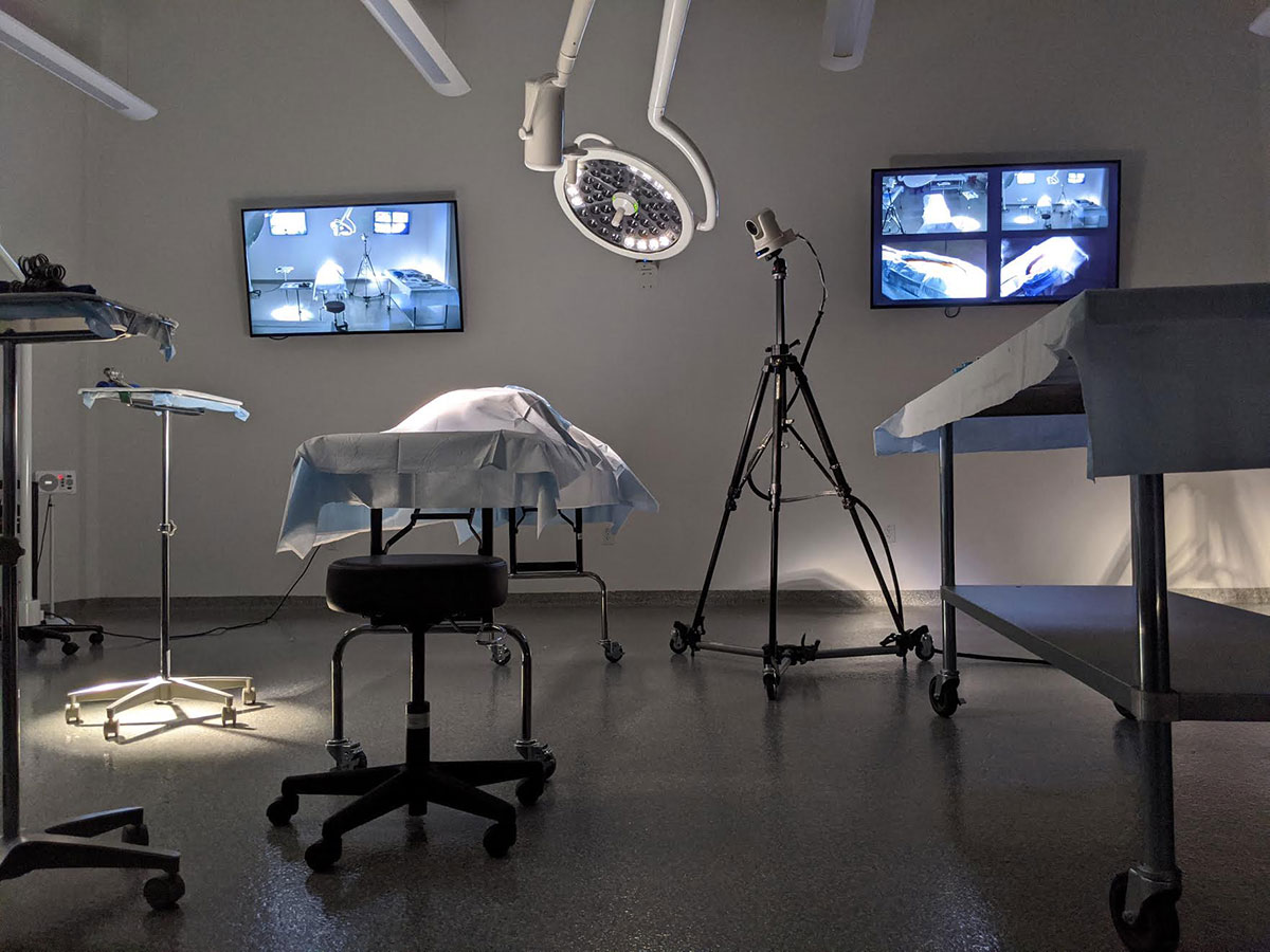Surgical lab with monitors